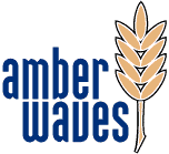 Amber Waves